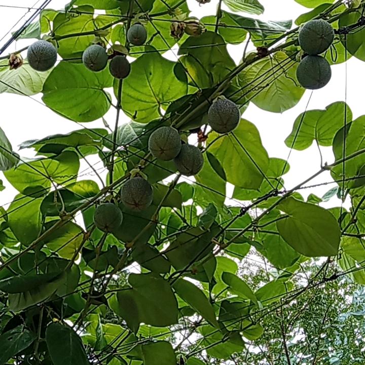 相识是一种缘分