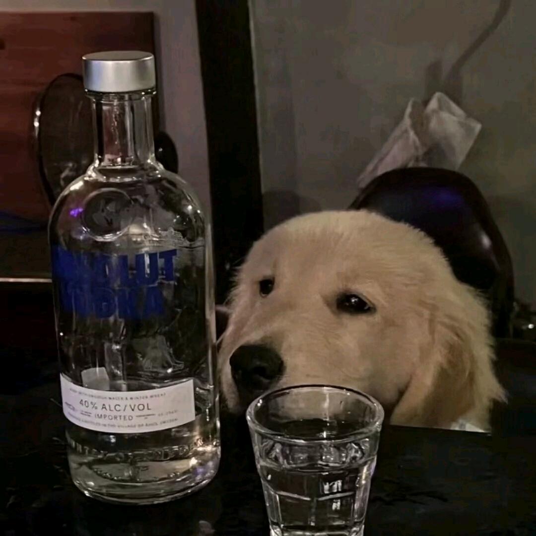 dd＄