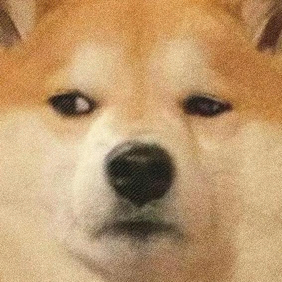 减肥不成功不改名字