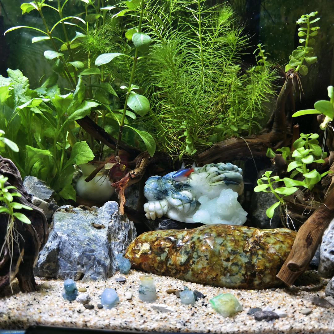 涵玉缘洋