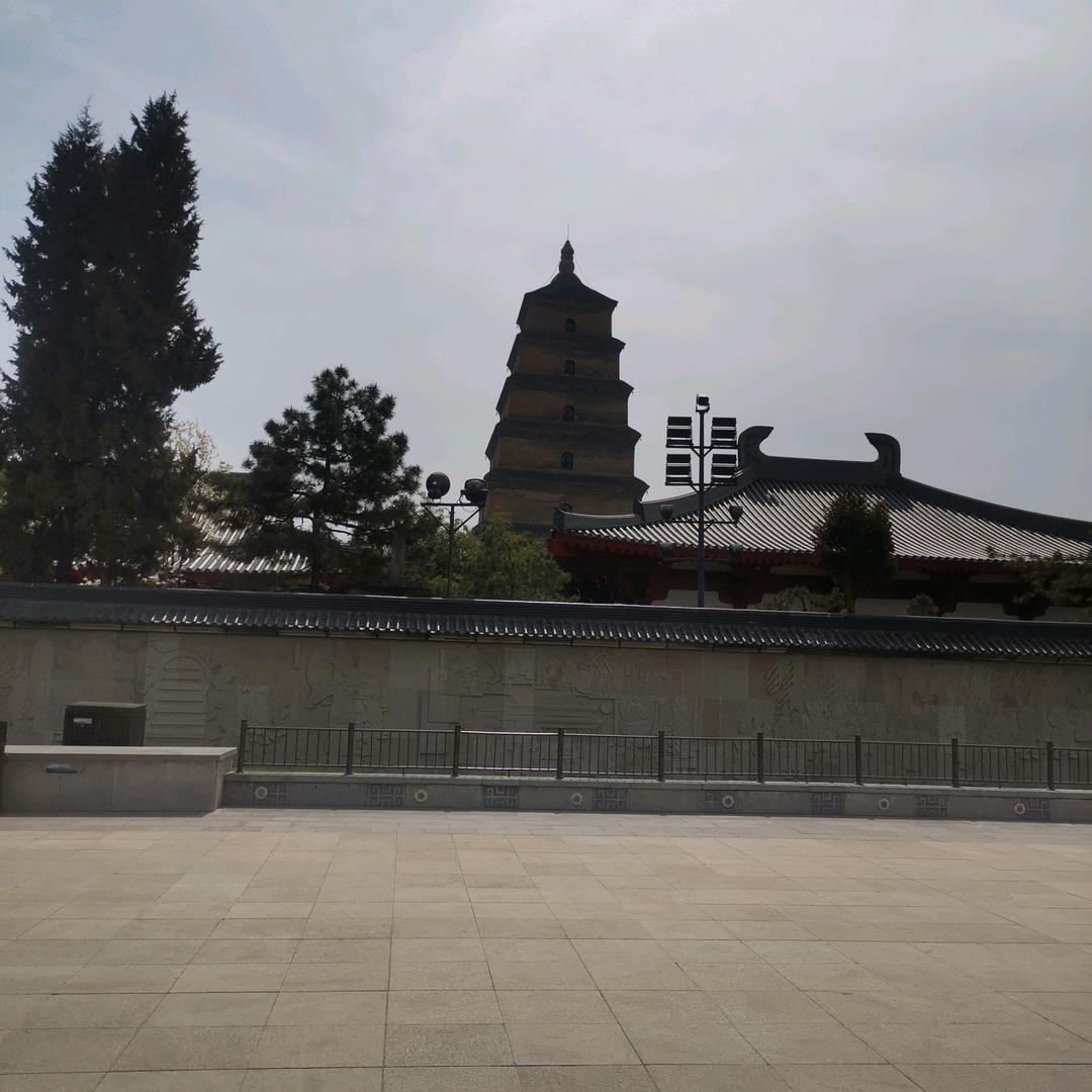 强子哥