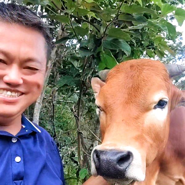 安心哥@贵州生态山农人