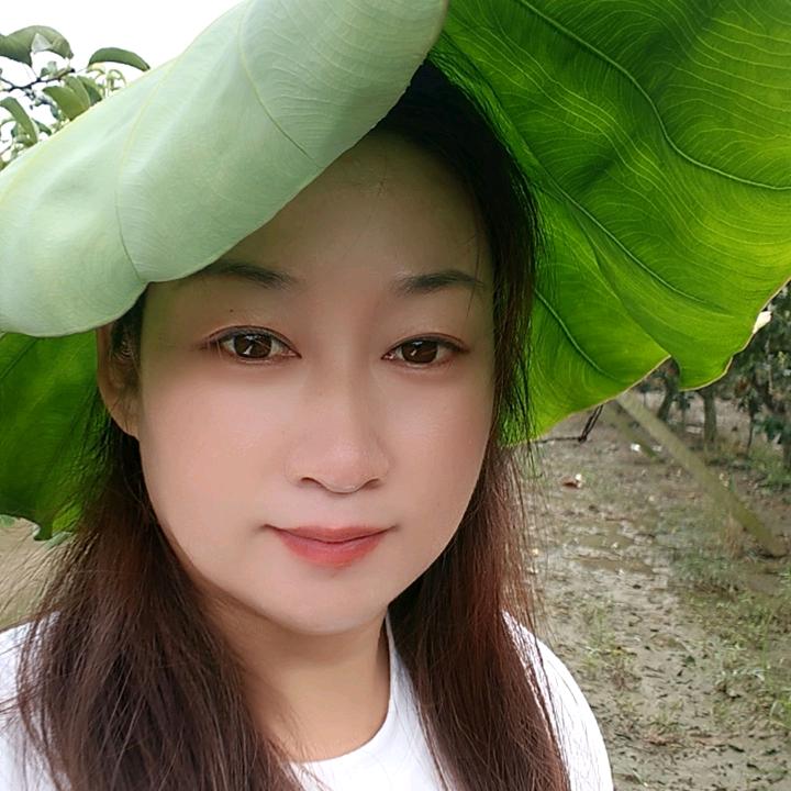 淼