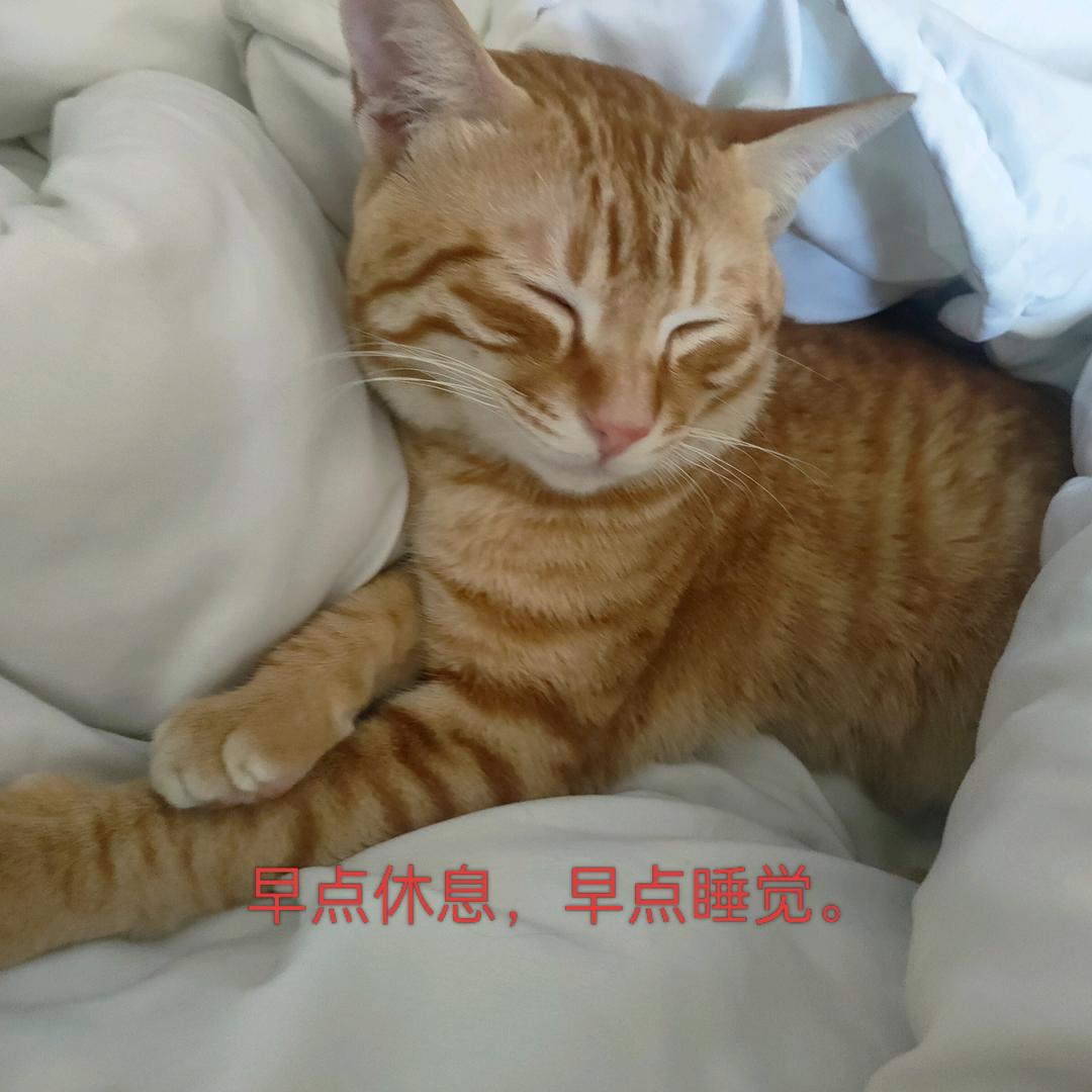 二小姐