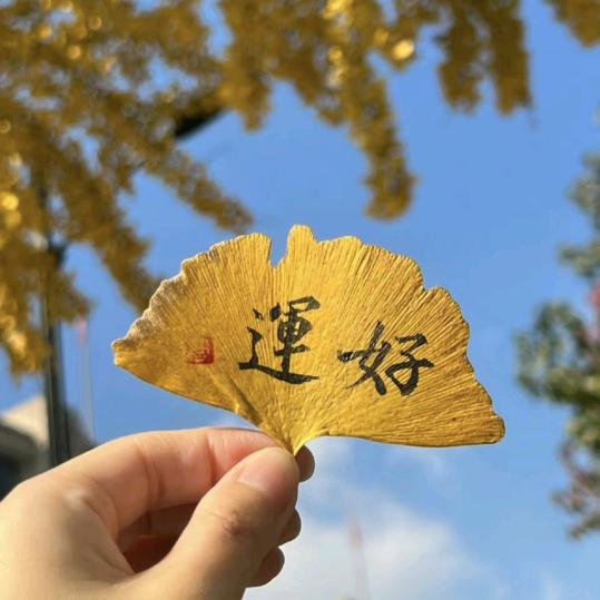 一路长虹，好运常在