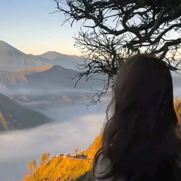 心若放睛，何惧风雨