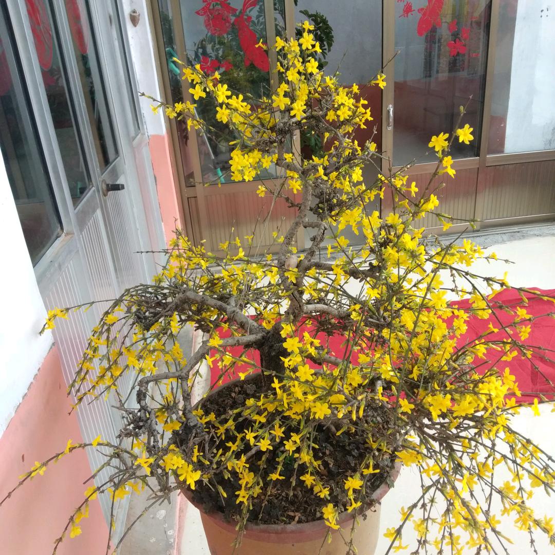燕孑