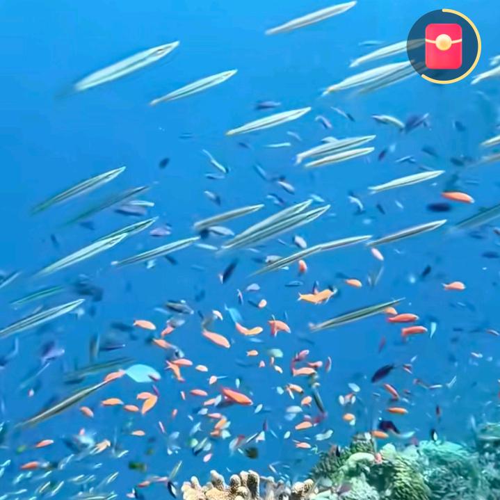 早安，龙回