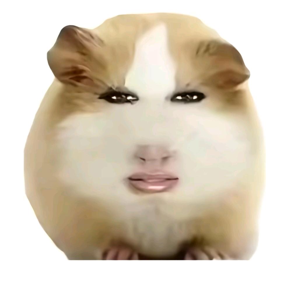 舒缓止痛片布洛芬