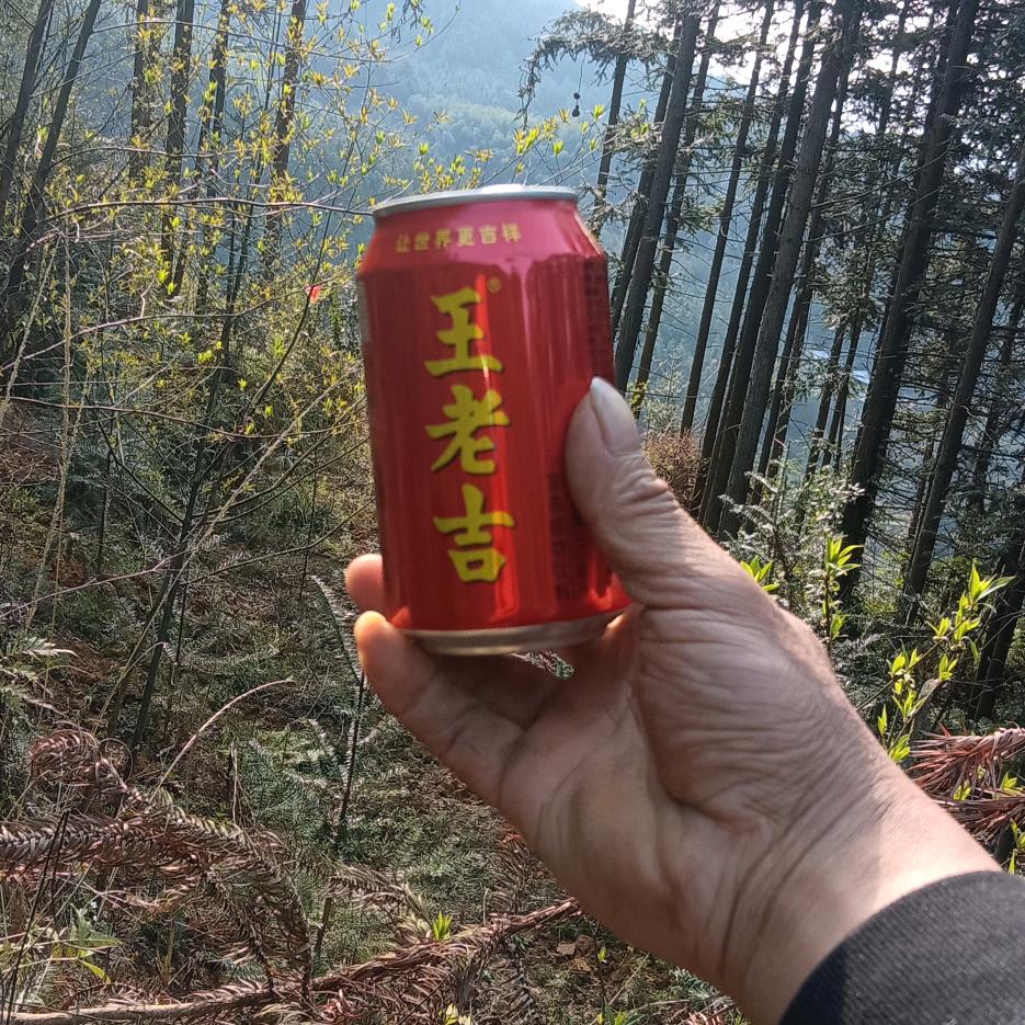 乡愁。