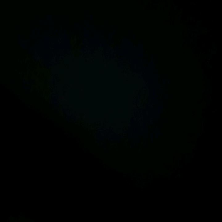 ABC不想和你