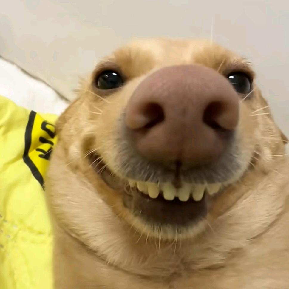 丶函丶