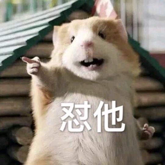 🐭🐭
