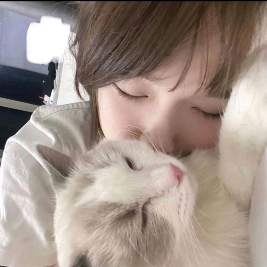 饼