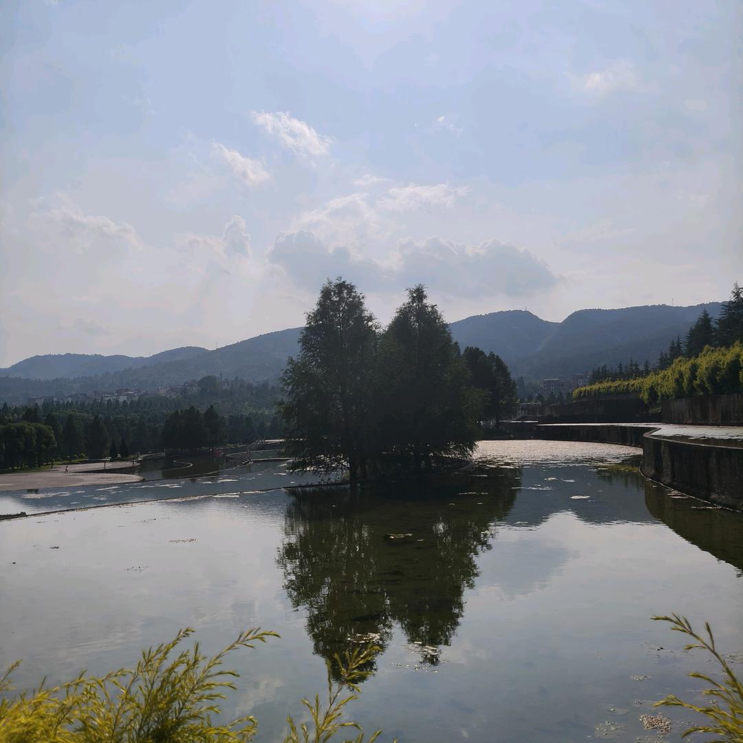 小飞燕