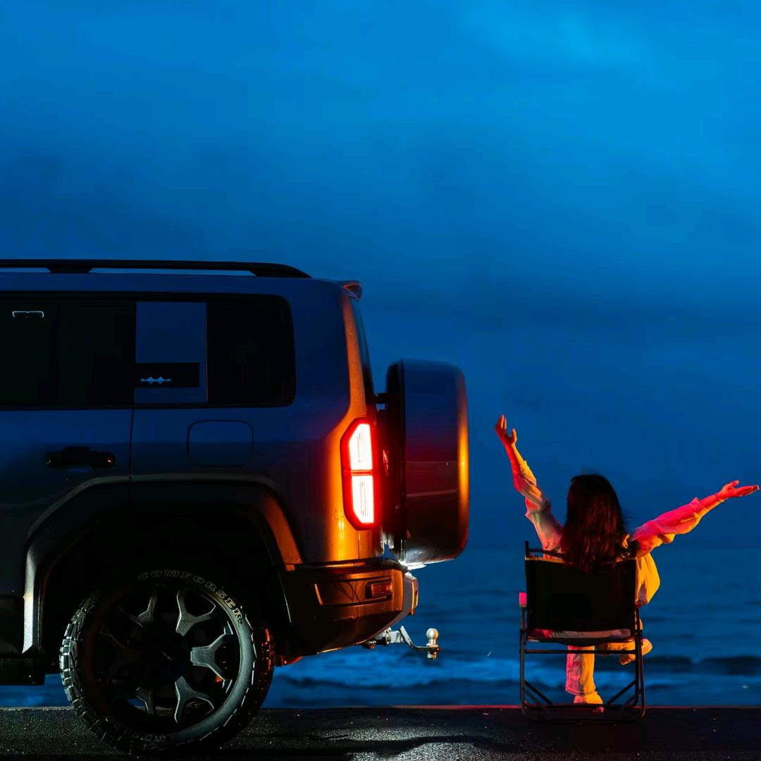 方程豹润程-豹妹