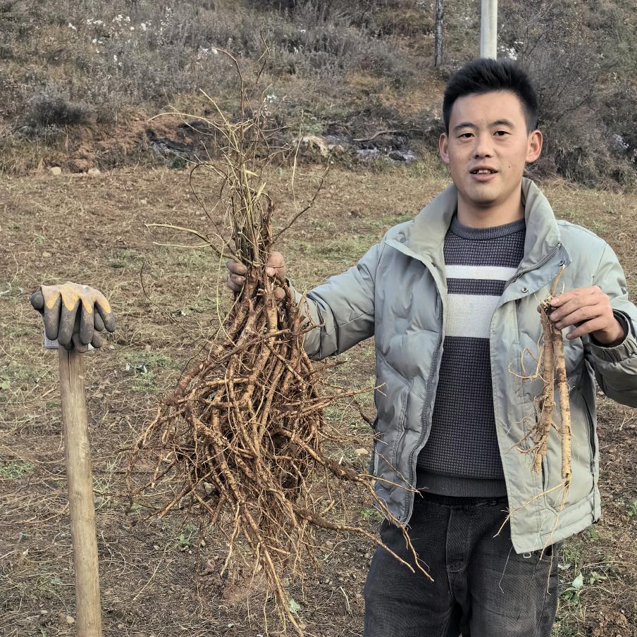 陇西阿飞滋补养身严选