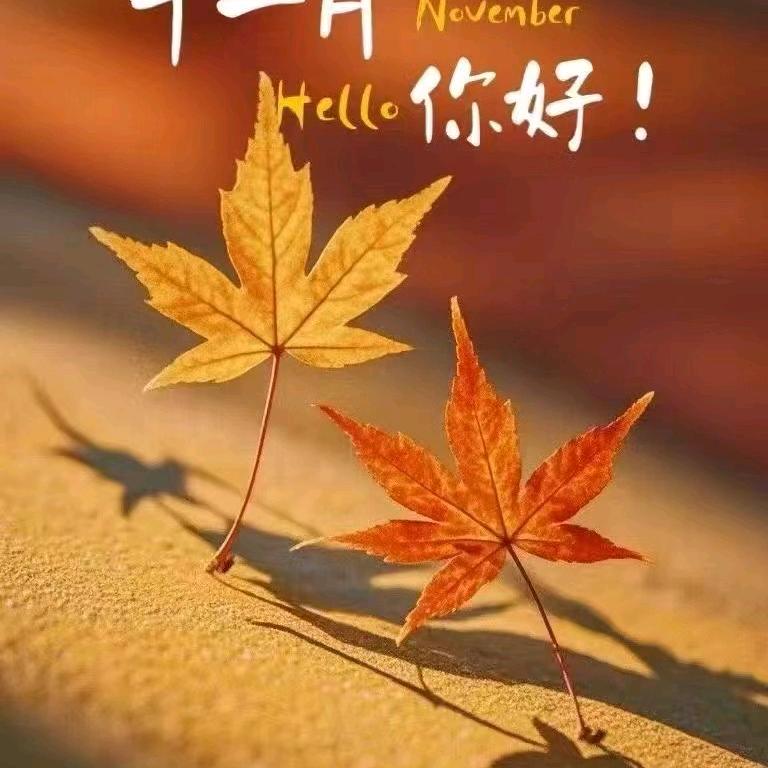 美团大众运营@芳芳老师