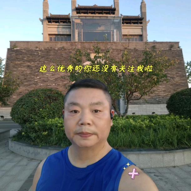 林林总总