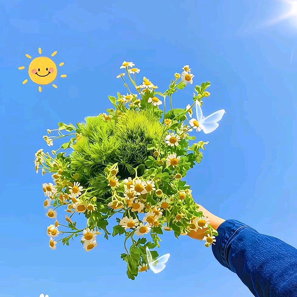 一直很快乐✌