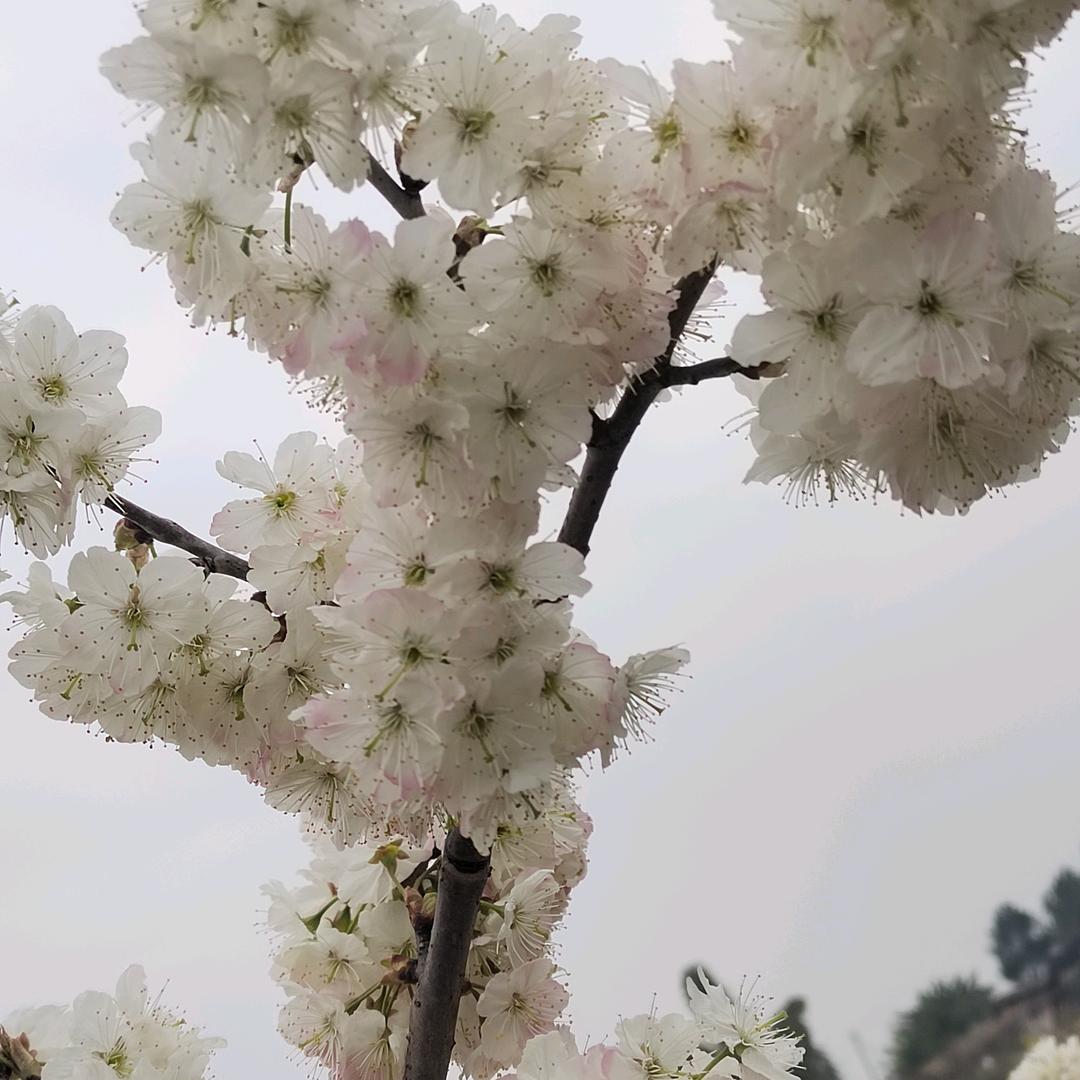 谭姐