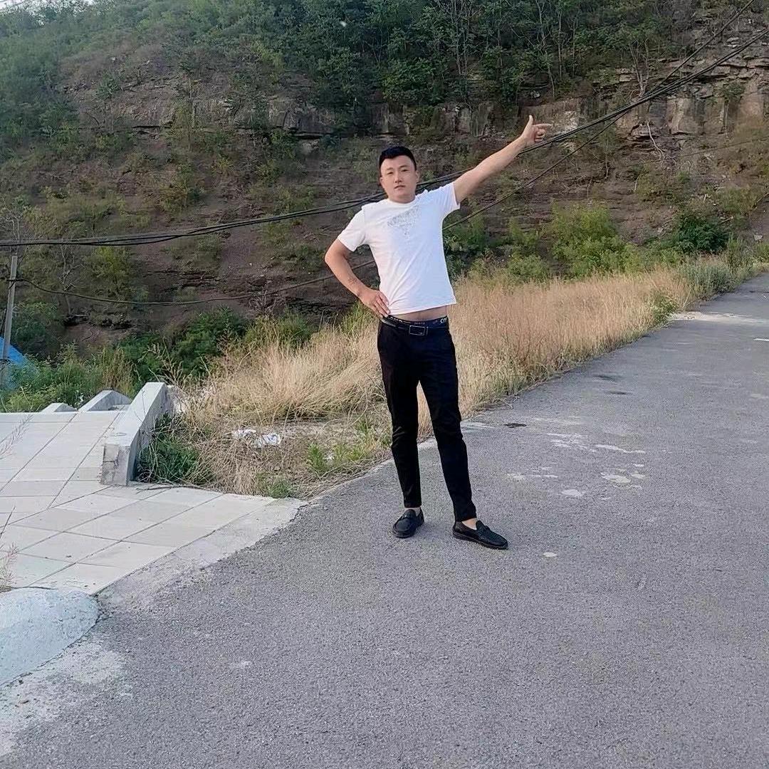 飞翔的鸽子？
