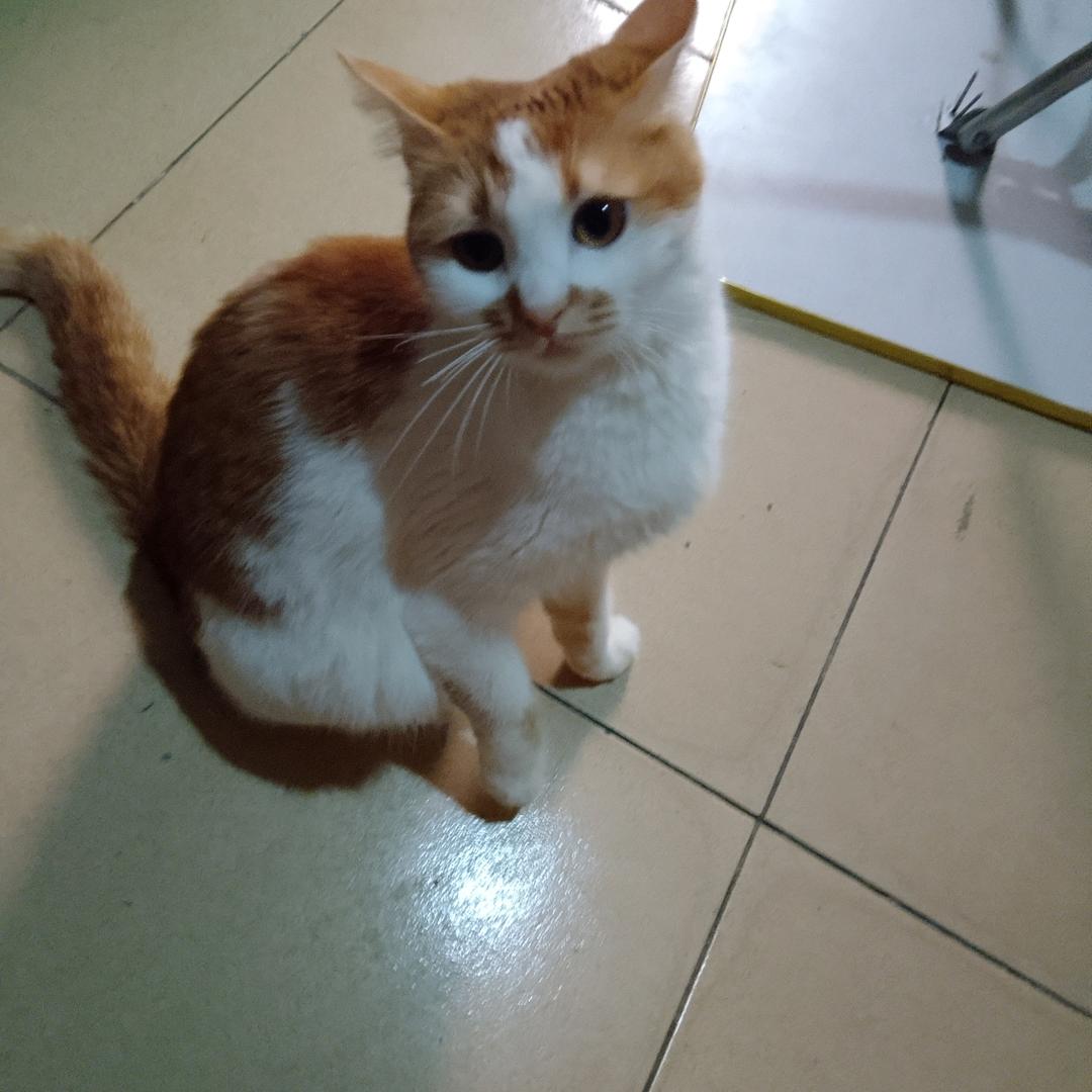 顺其自然811
