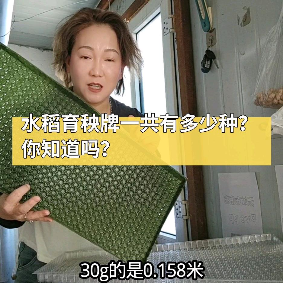 佳木斯育秧盘厂刘敏