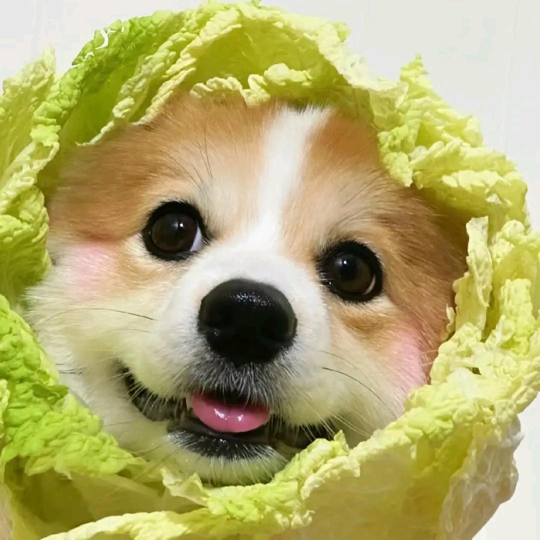 咪彩爱零食