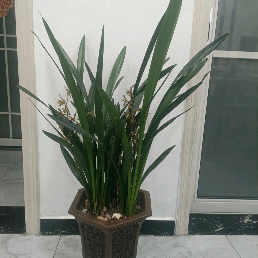 业余爱好