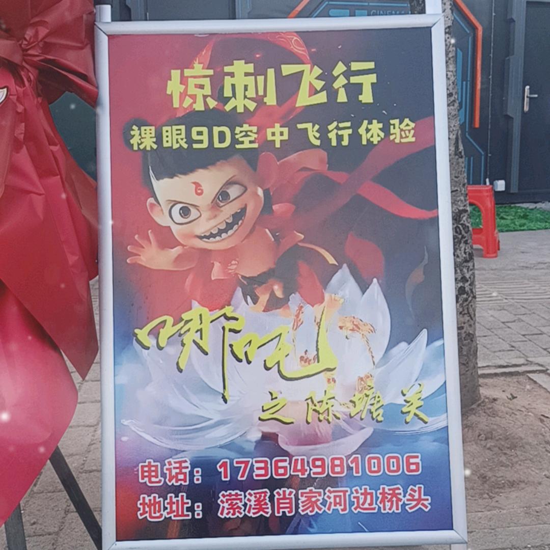 惊刺飞行唐林