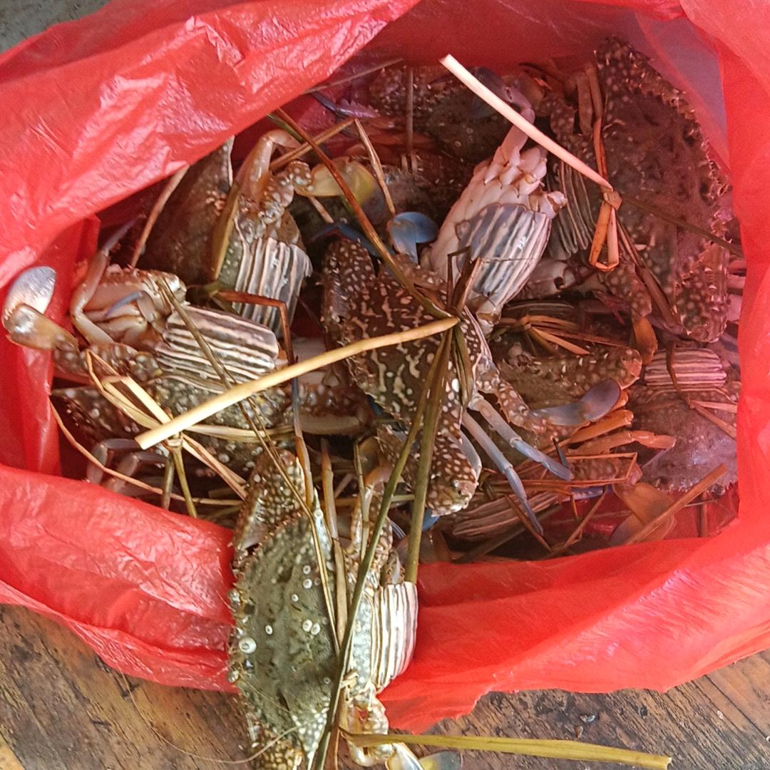 东哥想女人👩🏻👩🏻