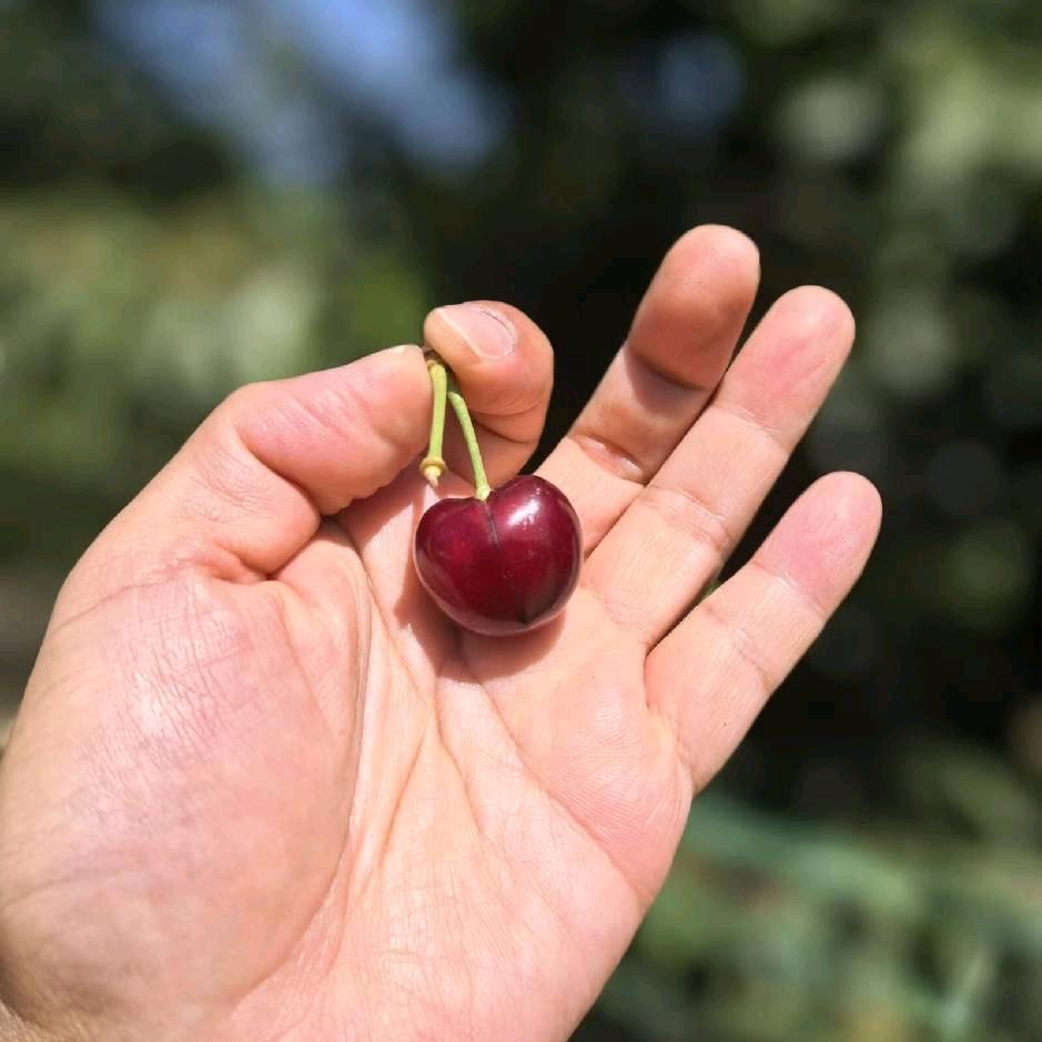 🇨🇳佰津利昇～庄瀚中🇲🇾