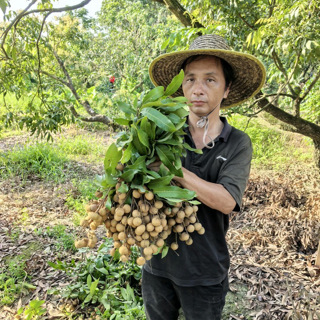 茂名斌（歌舞团演出）1