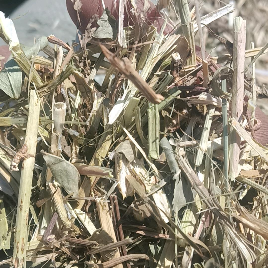 曹县绿鼎农业