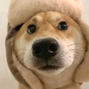 小柒科普馆