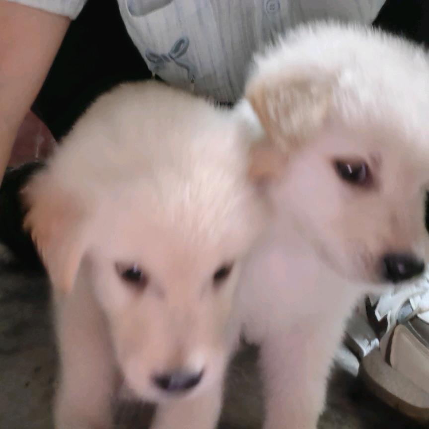 🔑龙姐难忘230🥀