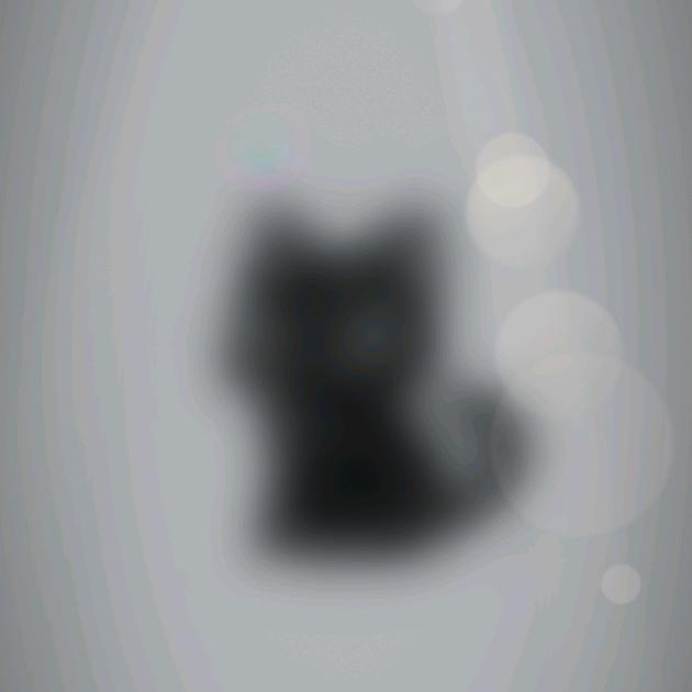 xnc