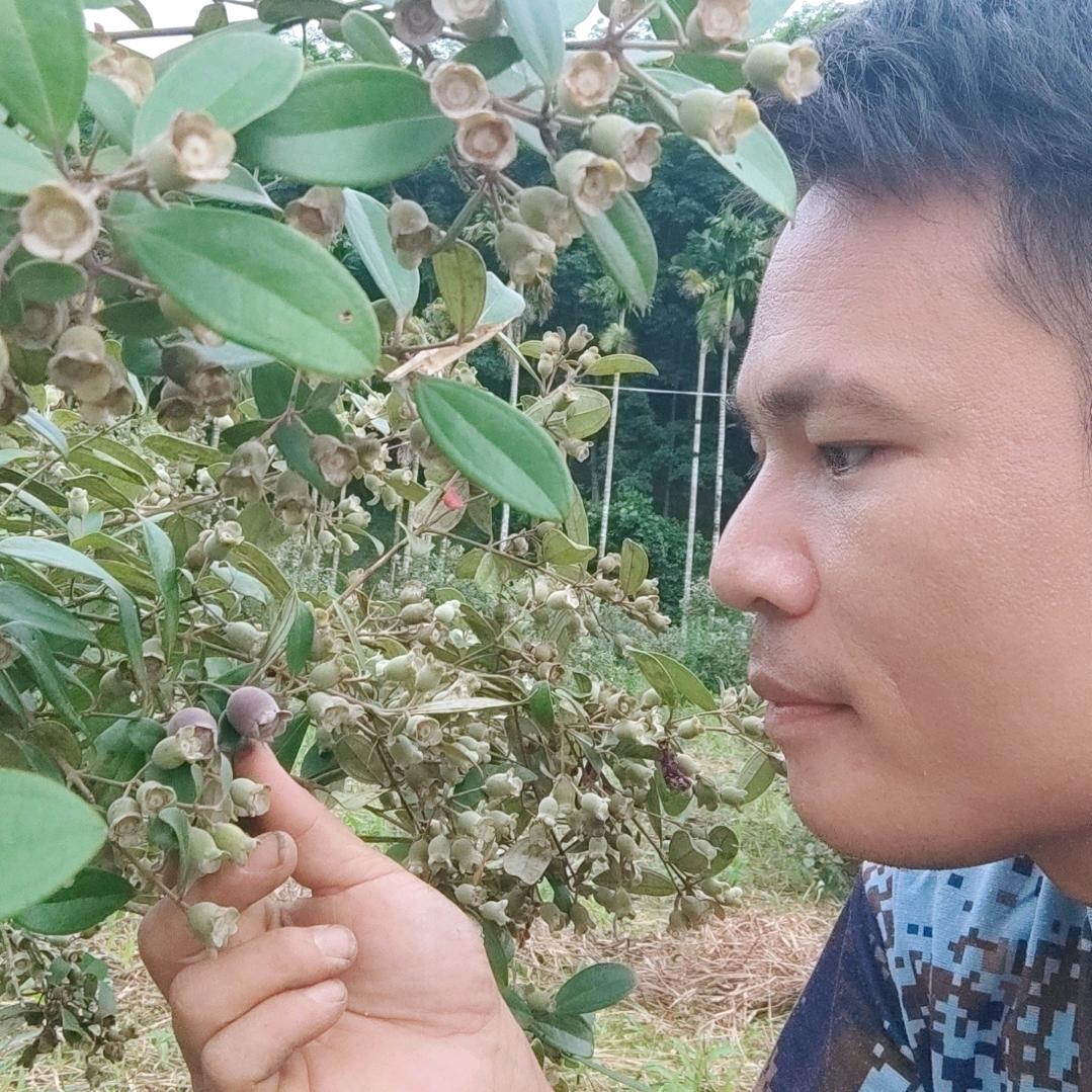 呆尼哥（乡村童年味）