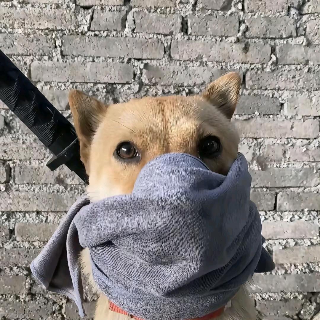 不到啊