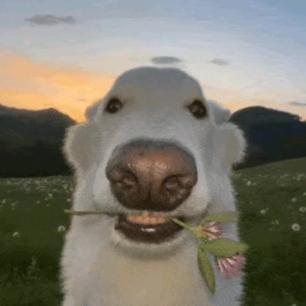 蓝道生（失控进化三角洲版）