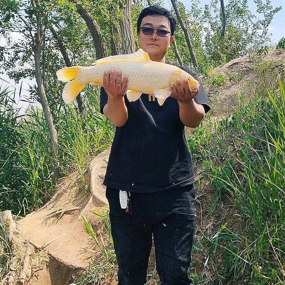 @🎣: : ＜$ÿĀ刚哥钓鱼༉
