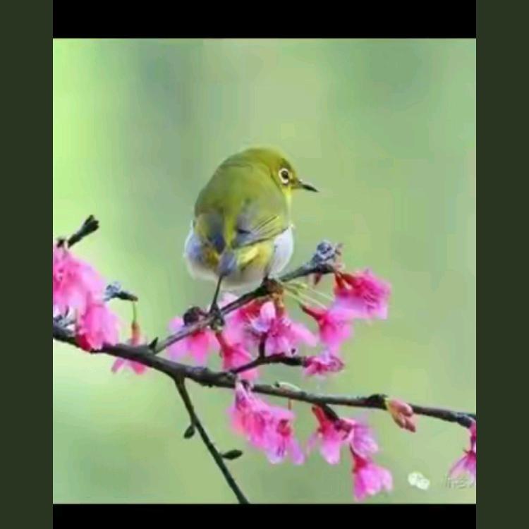 默默无闻