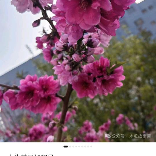 你是星星，我是月亮。