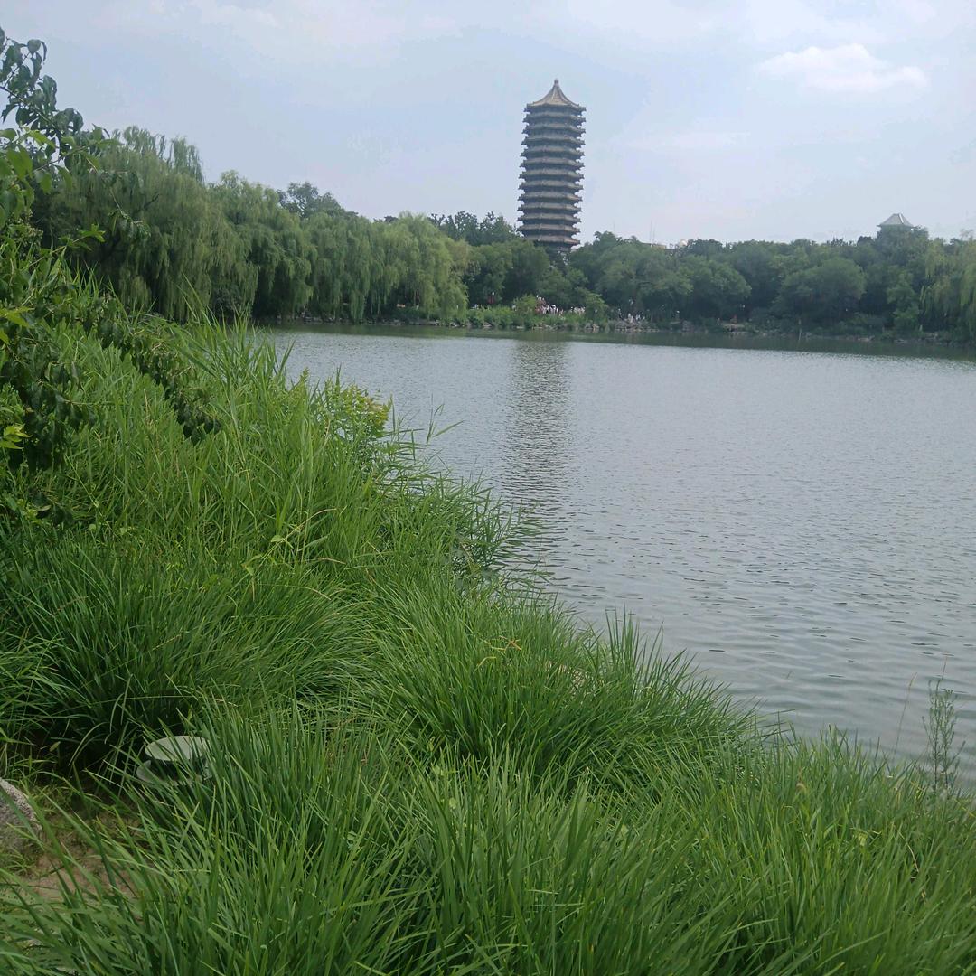 山路弯弯