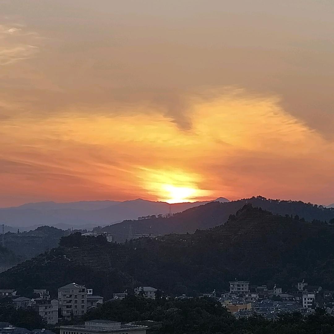 直播号