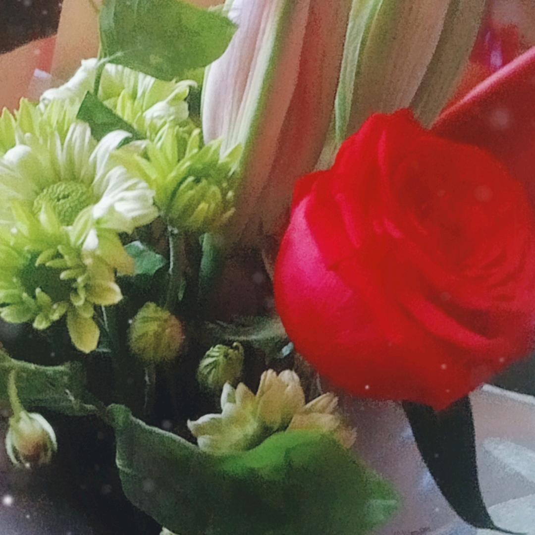 张香芸
