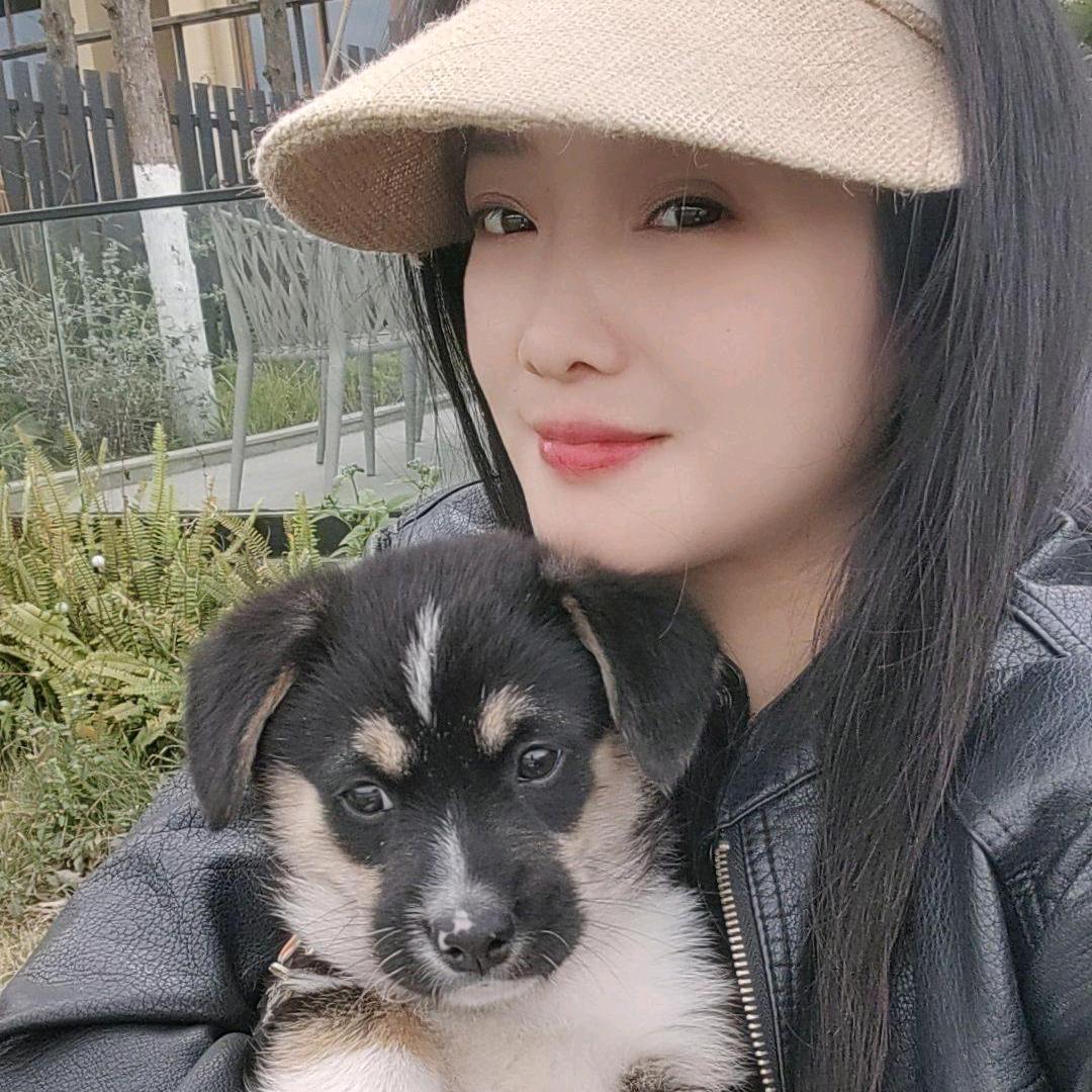 艾小爱