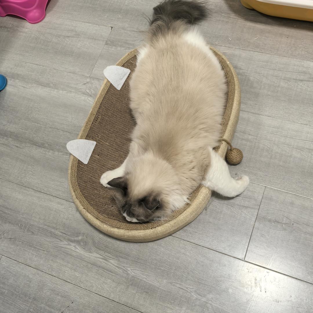 哈哈