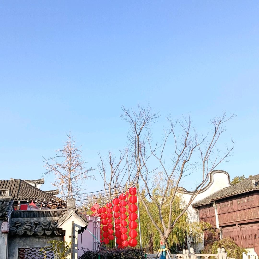 向阳而生